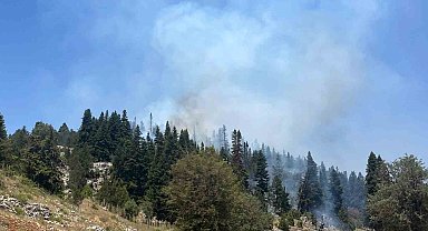 Mersin'deki orman yangını söndürüldü