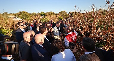 Mersin'de narenciye bahçelerine 'zirai don' incelemesi