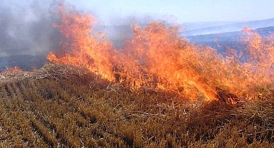Meteorolojiden Erzincan ve çevresi için orman yangını uyarısı