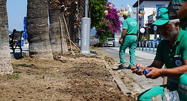 Milas Belediyesi, Güllük'te çalışmaları hızlandırıyor