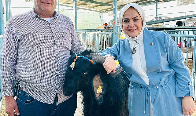 Milletvekili Sema Silkin Ün kurban pazarında yetiştiricileri dinledi