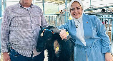 Milletvekili Sema Silkin Ün kurban pazarında yetiştiricileri dinledi