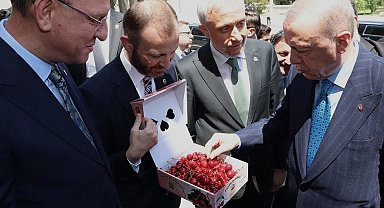 Milletvekillerinden Cumhurbaşkanı Erdoğan'a Kütahya kirazı ikramı