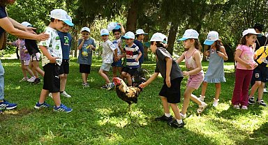 Minik eller Denizli Horozu üretimini öğrendi