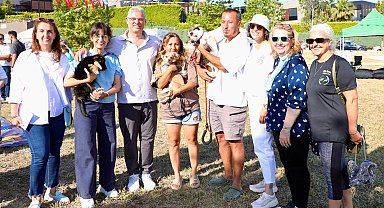 Mudanya Belediyesi 47 can dostu sahiplendirdi
