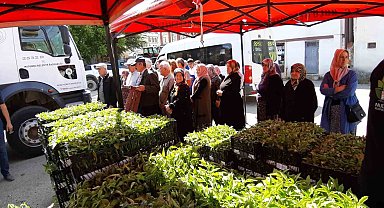 Mudurnu'da 108 bin fide dağıtıldı, çiftçiler akın etti