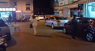 Muğla Valiliği: "Herhangi bir olumsuzluk yok, saha tarama çalışmaları sürüyor"