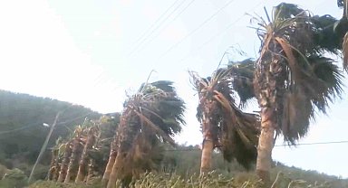 Muğla'nın 9 ilçesi için fırtına uyarısı