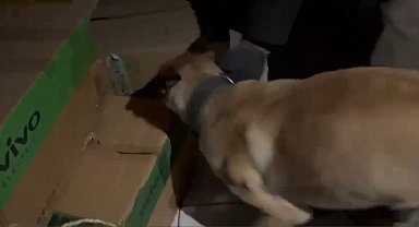 Narkotik köpeği ETA, zehir tacirlerine göz açtırmıyor