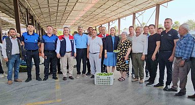 Nazilli'de kaliteli incir için kaliteli ilek denetimleri sürüyor