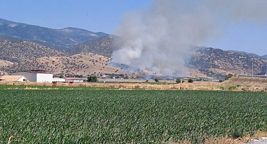 Nazilli'de zirai alan yangını