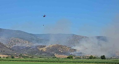 Nazilli'de zirai alan yangınına ekiplerin müdahalesi sürüyor