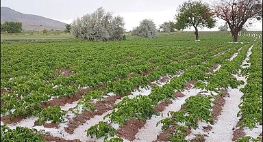 Nevşehir'de sel ve dolu tarım arazilerini vurdu