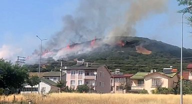Niksar'da orman yangını, ekiplerin müdahalesi sürüyor