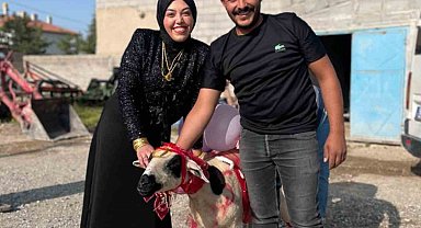 Nişanlısına süslediği koyunu hediye etti