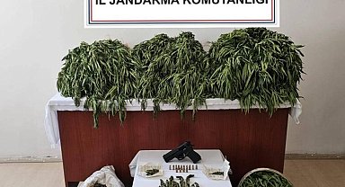 Nusaybin'de uyuşturucu operasyonu: 4 gözaltı