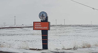 O ilçede ikinci kene vakası