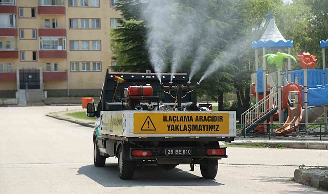 Odunpazarı Belediyesi'nden kenelere karşı etkili mücadele