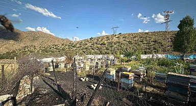 Oltu'da yangın faciası: 30 arı kovanı telef oldu