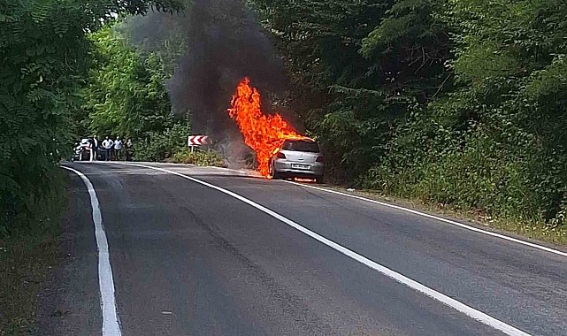 Ordu'da otomobil yangını