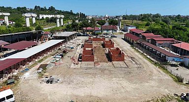 Ordu'da sokak hayvanlarına modern yaşam alanı