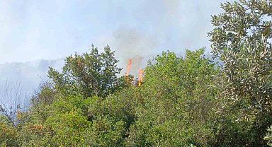 Orhangazi'deki yangına havadan ve karadan müdahale ediliyor