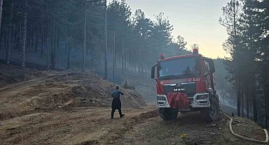 Orman yangını kontrol altına alındı