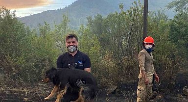 Orman yangınında alevlerin ortasındaki köpeği kurtaran görevli takdir topladı