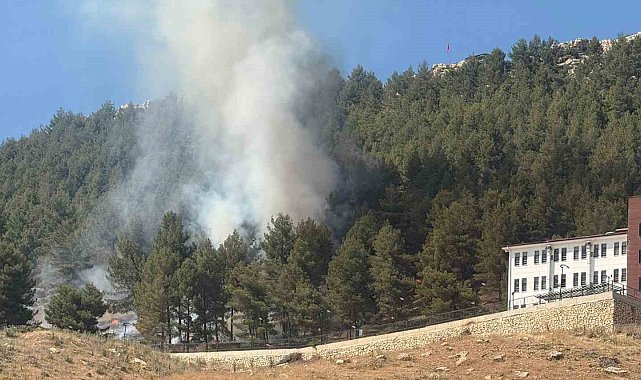 Ormanlık alanda çıkan yangın korkuttu