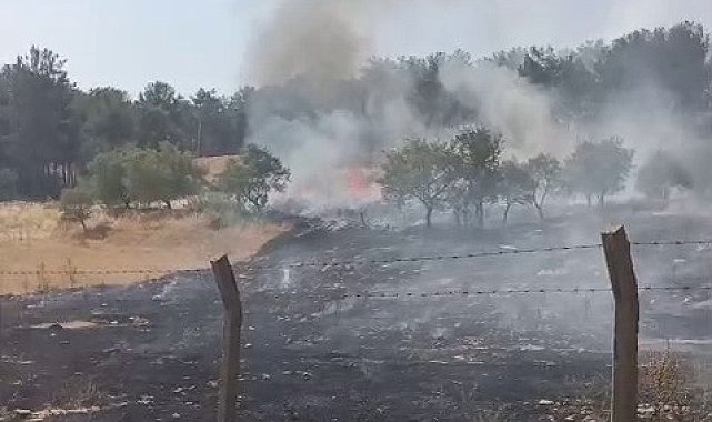 Ormanlık alanda çıkan yangın korkuttu