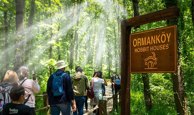 Ormanya'da yaz hazırlıkları tamam