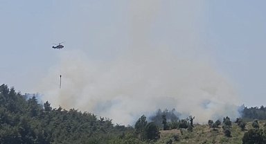 Osmaniye'de çıkan orman yangını söndürüldü