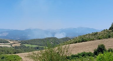 Osmaniye'de orman yangını başladı