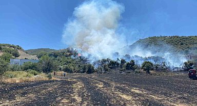 Osmaniye'deki anız yangını ormana sıçradı