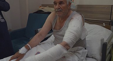 Ot biçen vatandaş kurdun saldırısına uğradı