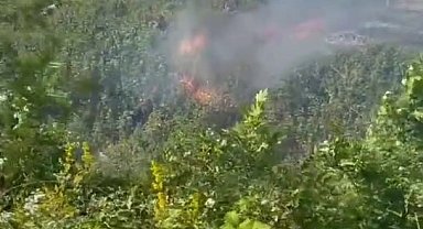 Otluk alanda çıkan yangın, kara yolunu kapladı