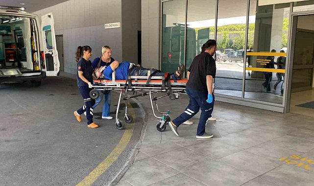 Otomobil ağaca çarptı, yaşlı çift yaralandı