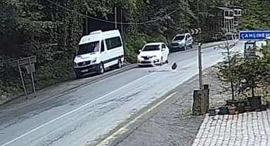 Otomobil düşen kayadan saniyelerle kurtuldu