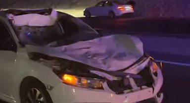 Otomobil yola çıkan ineğe çarptı: 3 yaralı