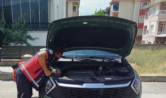 Otomobilin kaput kısmına sıkışan yavru kediler kurtarıldı