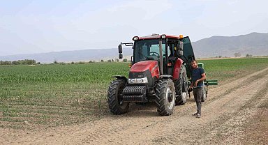 Pamuk üretim merkezi Büyük Menderes Ovası'nda kuraklık nedeniyle üretici mısıra yöneldi