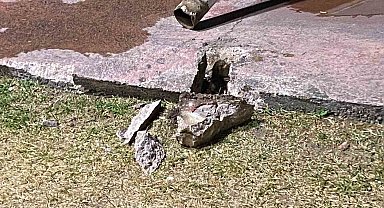 Parkta korku dolu anlar: Pota devrildi, 17 yaşındaki genç yaralandı