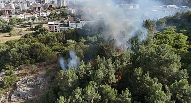 Pendik'te ormanlık alanda çıkan yangın söndürüldü