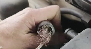 Pes dedirten görüntü: Otomobilin motorundan bulaşık teli çıktı