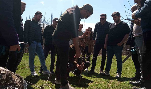Posof'ta meyve ağaçlarını budama ve aşılama kursu düzenlendi