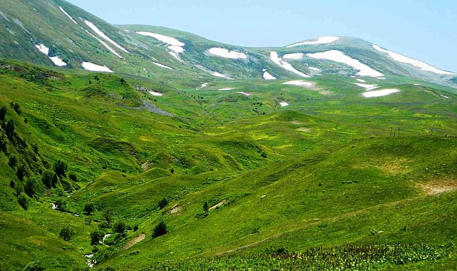 Posof'ta yayla mevsimi başladı