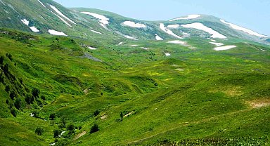 Posof'ta yayla mevsimi başladı