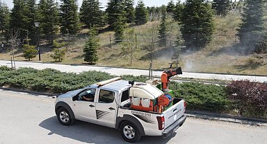 Pursaklar Belediyesi'nden haşerelere karşı mücadele