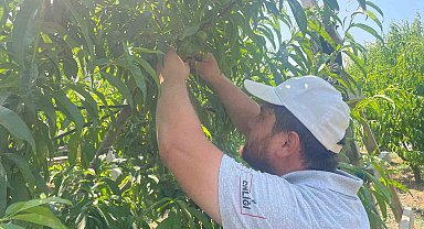 "Tek tek" günde 1200 lira kazanıyorlar