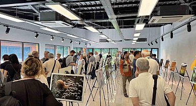 "Türkiye'nin Doğası" Ormanya'da hayat buldu